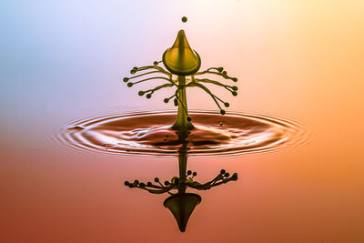 Close-up of splashing droplet