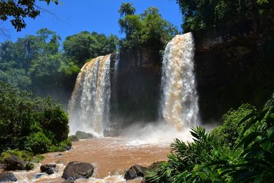 Scenic view of waterfall in forest