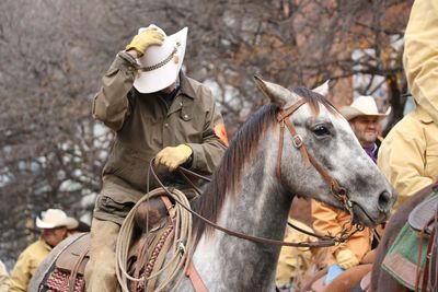 Close-up of horse