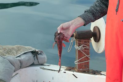 Cropped hand of man holding fishing rod