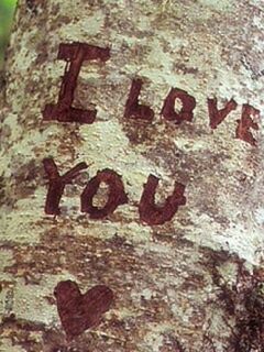 weathered, close-up, text, wall - building feature, textured, old, communication, western script, wall, architecture, built structure, damaged, deterioration, rusty, day, run-down, outdoors, number, rough, no people