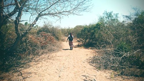 Man walking on bare trees against sky