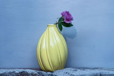 Close-up of pink flower against blue wall