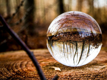 Lensball photography 