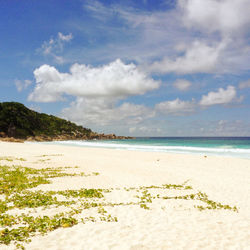 Scenic view of beach against sky