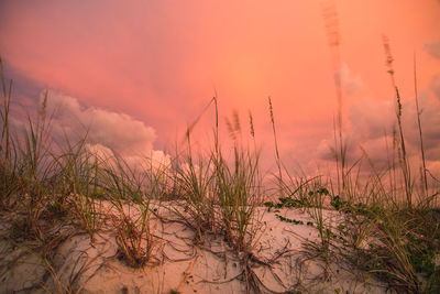 Scenic view of landscape against sky at sunset