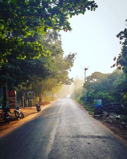 Empty road along trees and plants in city