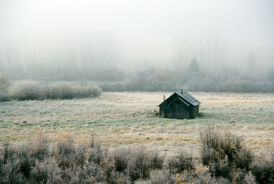 House on field against trees and buildings