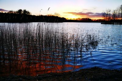 Reflection of trees in water at sunset