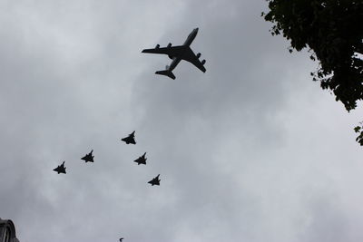 Low angle view of silhouette birds flying against sky