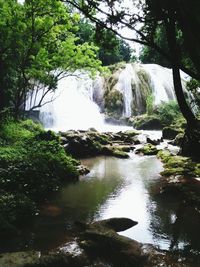 Scenic view of waterfall in forest