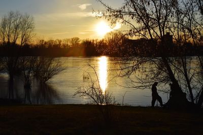 Silhouette of bare trees in lake during sunset