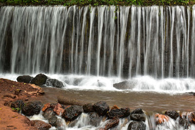 Low angle view of waterfall in forest