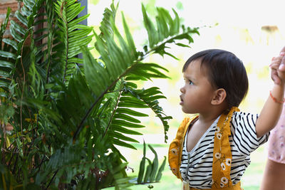 Preschoolers exploring nature little boy looking at fern leaves summer vacation for curious children