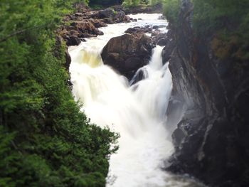 Scenic view of waterfall in forest