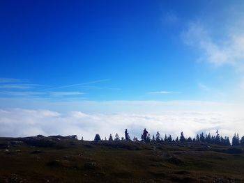 People on land against blue sky