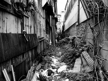 Panoramic view of buildings