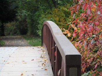 Close-up of footpath by plants in park