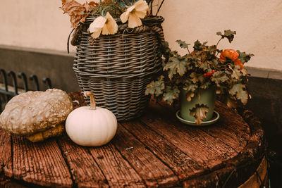 Close-up of potted plant on table against wall