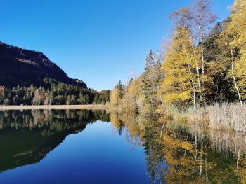 Reflection of trees in lake against clear blue sky