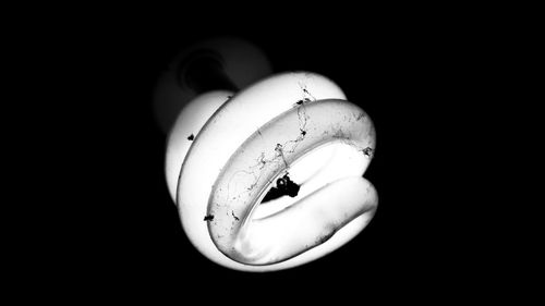 Close-up of light bulb against black background