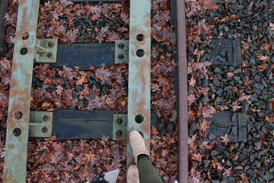 Low section of woman standing on metal during autumn