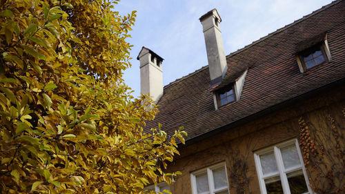 Low angle view of tree by building against sky