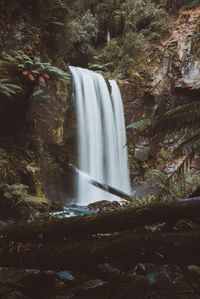 Scenic view of waterfall in forest