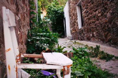 Empty chairs and table in yard against building