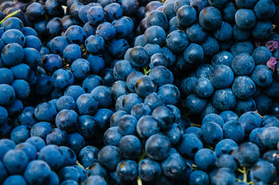 Full frame shot of grapes