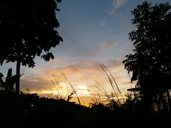 Low angle view of silhouette trees against sky at sunset