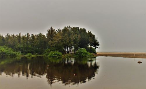 Reflection of nature 