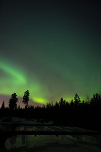 Silhouette trees on landscape against sky at night