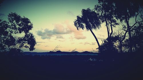 Silhouette of trees against cloudy sky