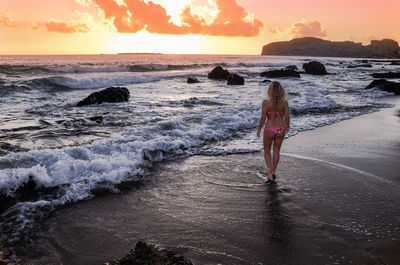 Rear view of blonde girl standing on the beach at sunset