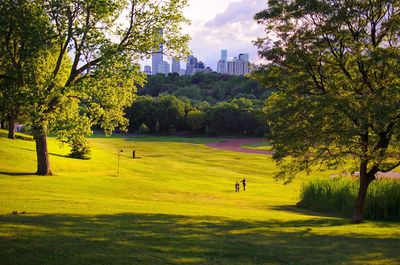 Scenic view of golf course in city against sky