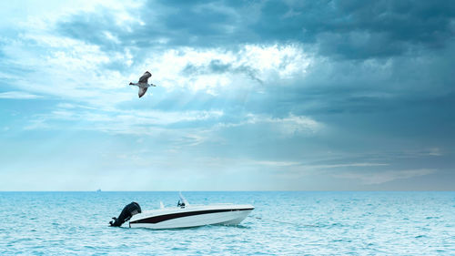 View of seagull flying over sea against sky