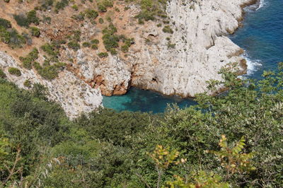 Close-up of tree by sea