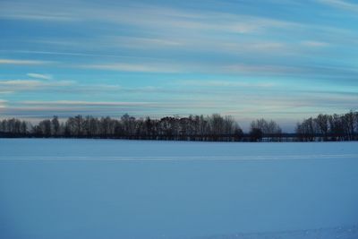 Scenic view of snow covered trees against sky