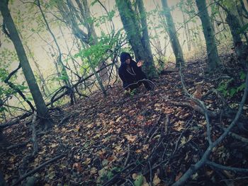 Man sitting on tree trunk in forest