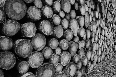 Full frame shot of logs in forest