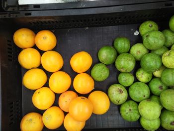 Close-up of fruits