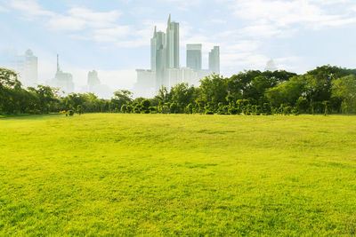 Scenic view of trees growing on field against sky