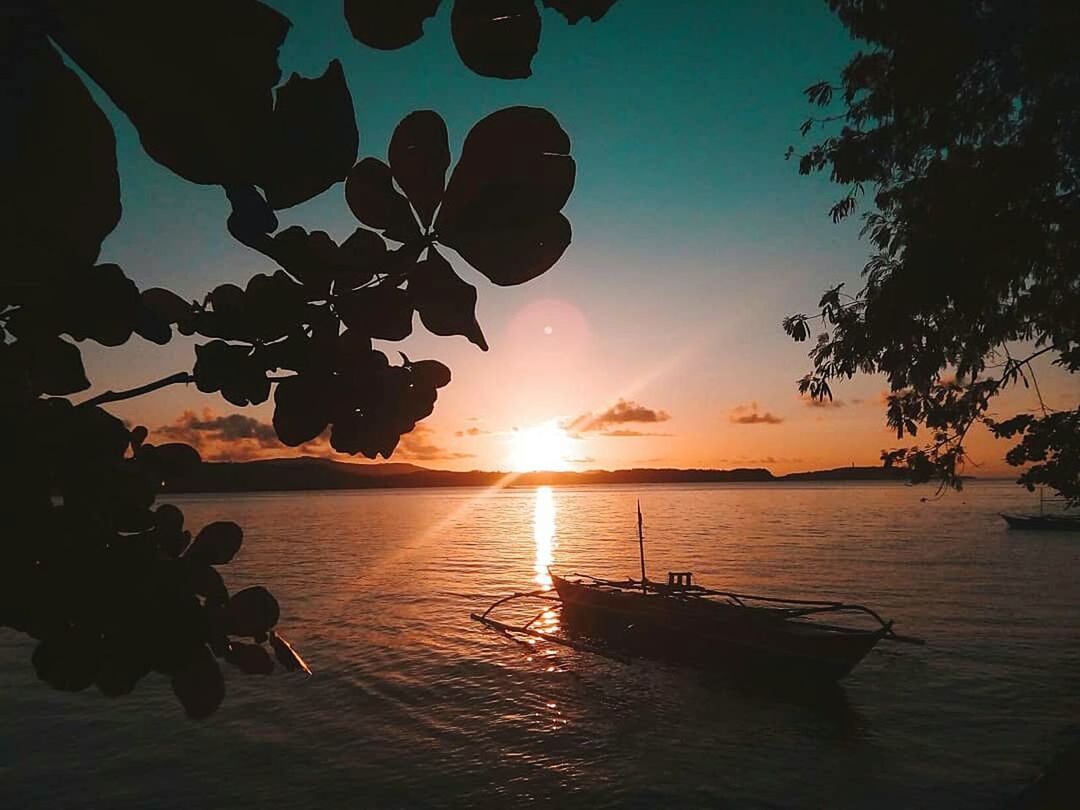 SILHOUETTE TREES BY SEA AGAINST SKY DURING SUNSET