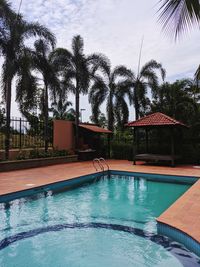 View of swimming pool