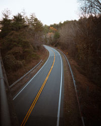 Empty road along trees and plants