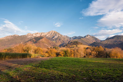 Scenic view of field against sky