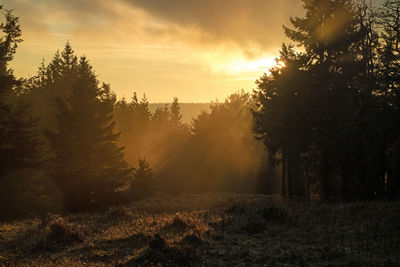 Scenic view of landscape at sunset