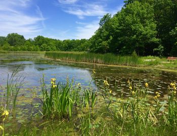 Scenic view of lake against sky