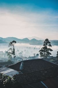 Scenic view of tree and house against sky